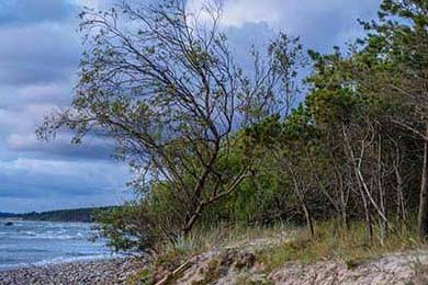 中国足球职业俱乐部强化教练团队梯队构建，足球队教练组架构