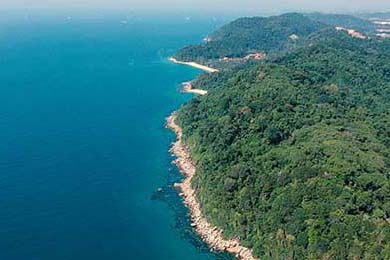 中国足球职业俱乐部强化教练团队梯队构建，足球队教练组架构